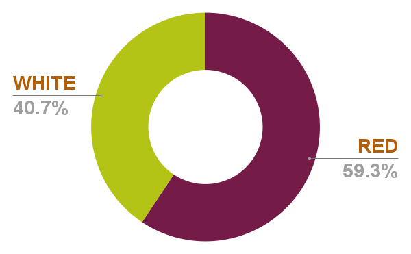 Chart 25 